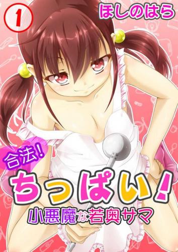 [ほしのはら] 合法！ちっぱい！小悪魔な若奥サマ 1-3