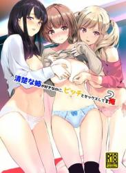 The thumbnail of (C99) [裏FMO (フミオ)] 清楚な姉が好きなのに、ビッチとセックスしてる俺2 [DL版]