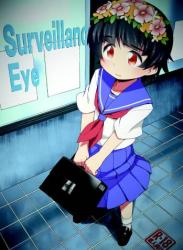 The thumbnail of [田中家の鴨 (たなかあひる) Surveillance Eye (とある科学の超電磁砲)