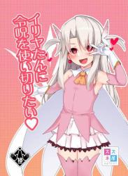 The thumbnail of [女騎士の城 (送り萬都)] イリヤたんに令呪を使い切りたい (Fate kaleid liner プリズマ☆イリヤ)