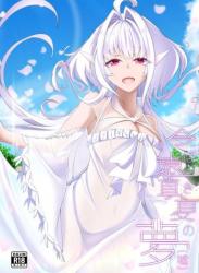 The thumbnail of [TreeDrop (葉月琥珀)] 今は遠き真夏の夢 (嘘) (Fate/Grand Order)