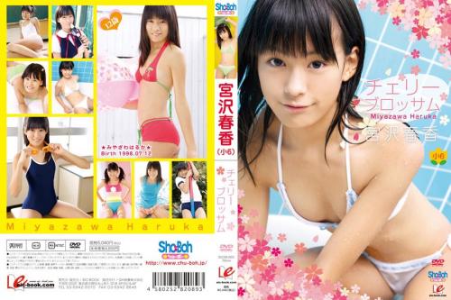 [EICSB-003] Haruka Miyazawa 宮沢春香 – チェリーブロッサム [MKV/1.18GB]