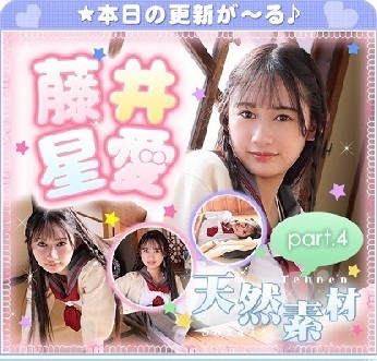 The thumbnail of 藤井星愛 – Seia Fujii (2023.03.13-2022.03.17)