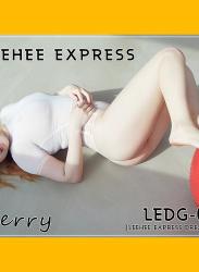 The thumbnail of [LEEHEE EXPRESS] LEDG-015 Merry