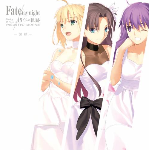 Fate stay night -15年の軌跡-