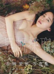 The thumbnail of 吉岡里帆写真集 里帆採取 by Asami Kiyokawa