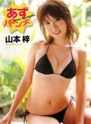 The thumbnail of [DVDRIP] Azusa Yamamoto 山本梓 – あずパンチ [FDGD-0140]