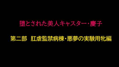 [納屋] 堕とされた美人キャスター・慶子 第二部 肛虐監禁病棟・悪夢の実験用牝編 (オリジナル)