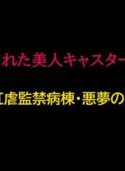 The thumbnail of [納屋] 堕とされた美人キャスター・慶子 第二部 肛虐監禁病棟・悪夢の実験用牝編 (オリジナル)