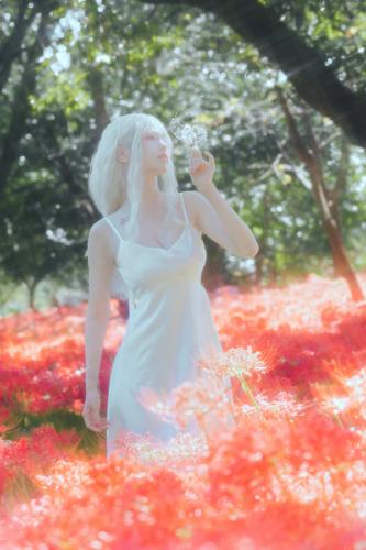 The thumbnail of [Cosplay] Ely – White Spider Lily 白瓷彼岸