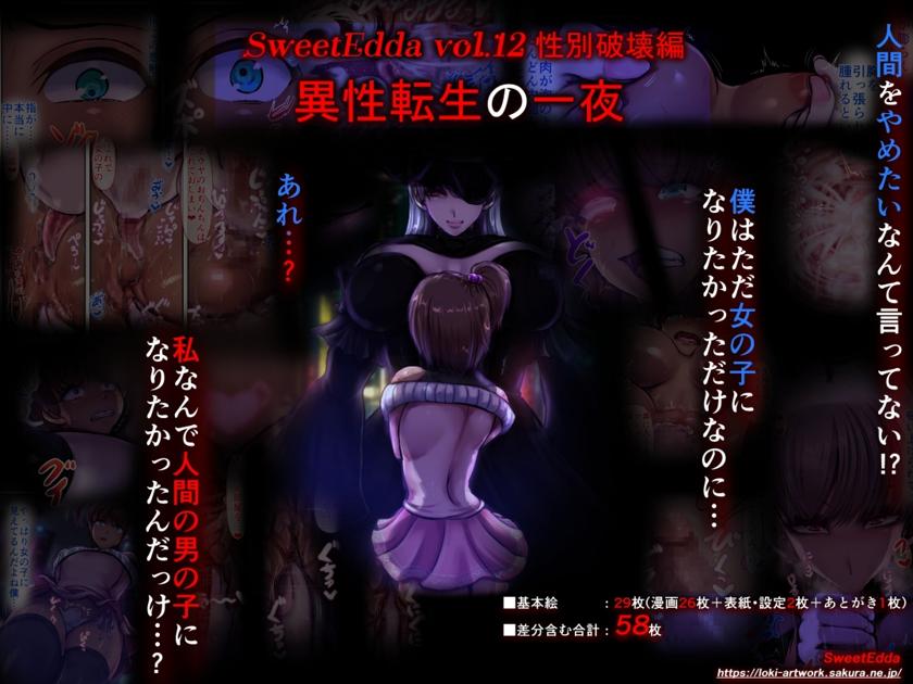 The thumbnail of [SweetEdda (ろき)] SweetEdda vol.12 性別破壊編 異性転生の一夜 (オリジナル)