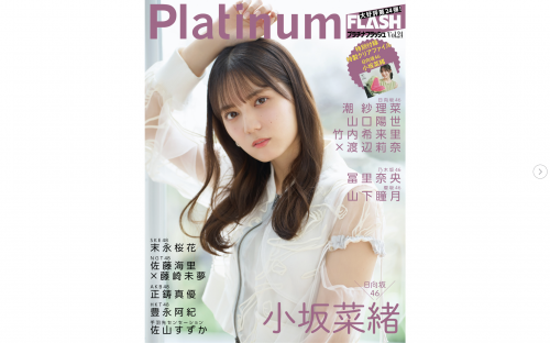 Platinum FLASH vol.24