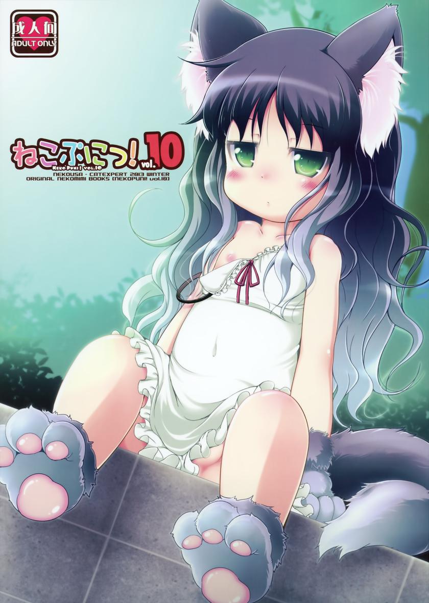 The thumbnail of (C85) [きゃっといいえっくす (猫兎)] ねこぷにっ!vol.10