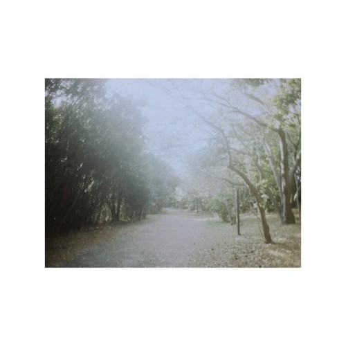 The thumbnail of [Single] RETROGRADE97 – STROLL [FLAC / 24bit Lossless / WEB] [2024.08.04]