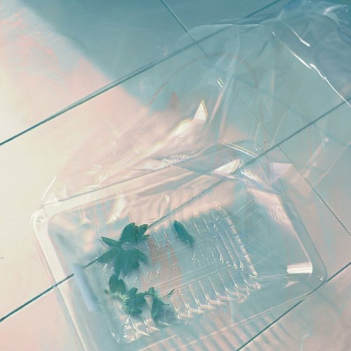 [Single] asmi – あっくん [FLAC / WEB] [2024.08.28]