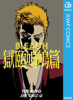 The thumbnail of [久保帯人] BLEACH -ブリーチ- 獄頤鳴鳴篇 +カラー版