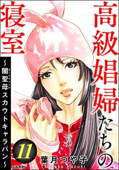 The thumbnail of [葉月つや子] 高級娼婦たちの寝室 ～闇聖母スカウトキャラバン～ 第01-11巻